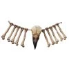 Sunstar Industries Bird Beak And Bones 15" Necklace