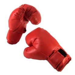 Forum Novelties, Inc Adult Boxing Gloves