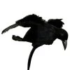 Western Fashion Halloween Crow Headband