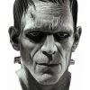 Rubies Costume Co. Inc Deluxe Frankenstein Mask