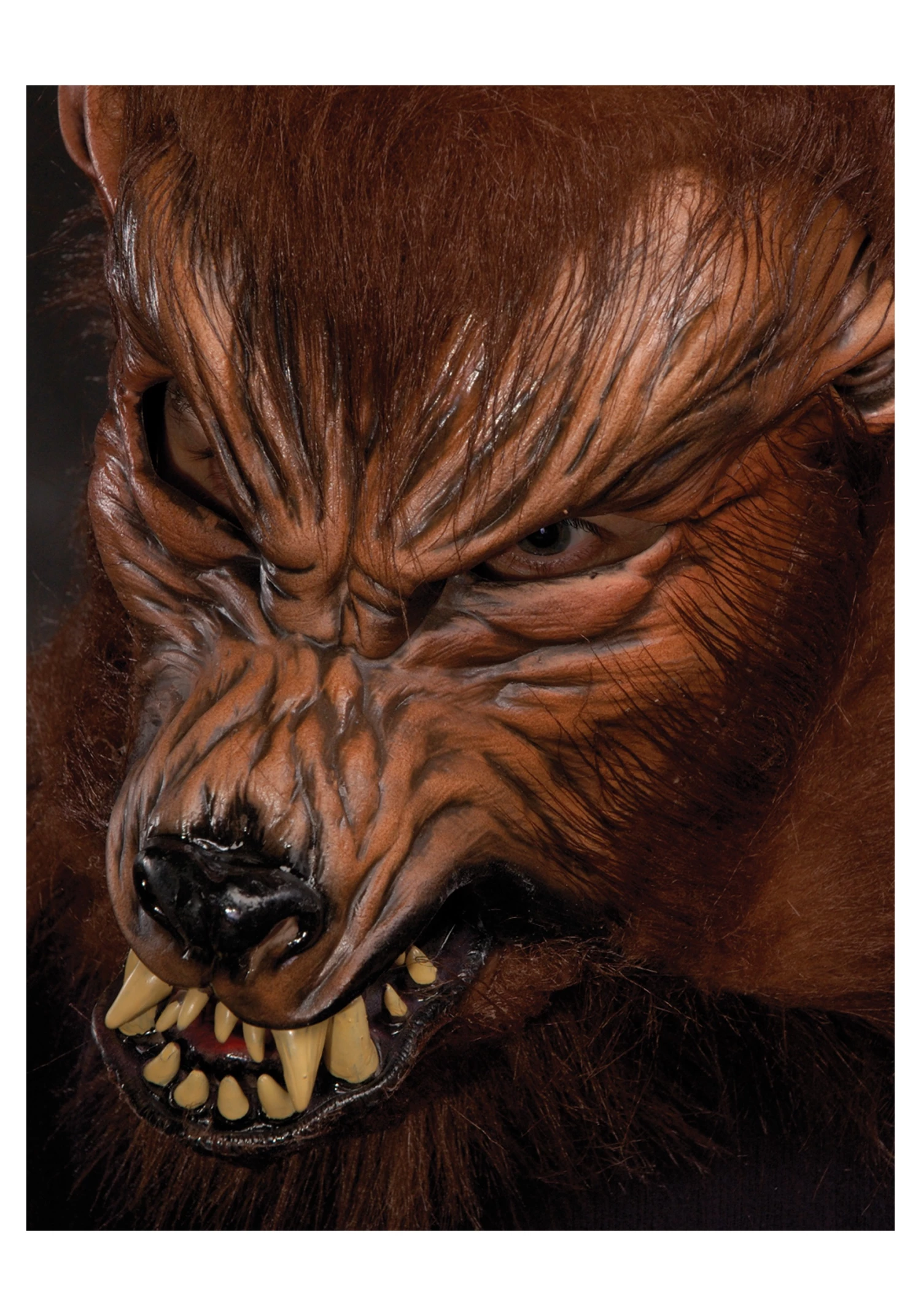 Zagone Studios Howl O Ween Werewolf Mask 1 Zagone Studios Howl O Ween Werewolf Mask