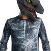 Rubies Costume Co. Inc Kids Jurassic World 2 Blue Velociraptor 3/4 Mask