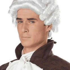 California Costume Collection Men's Colonial White Powdered Wig