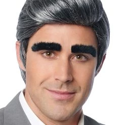 Costume Culture By Franco LLC Men's Johnny Wig And Eyebrows