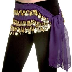 Miss Belly Dance Purple Belly Dance Hip Scarf Costume