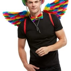Smiffys Rainbow Wings For Adults