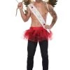 California Costume Collection Valentine's Cupid Kit